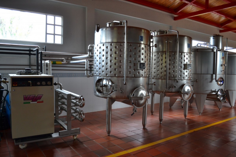 cave-TOUET DE L ESCARENE-min_wine_production_cantine_winery_drink_alcohol_vine_beverage-902036